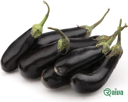 Dark glossy eggplants crate-packed under cold chain (view 8)