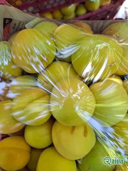Fresh Apricot — Apricot sorting and weighing