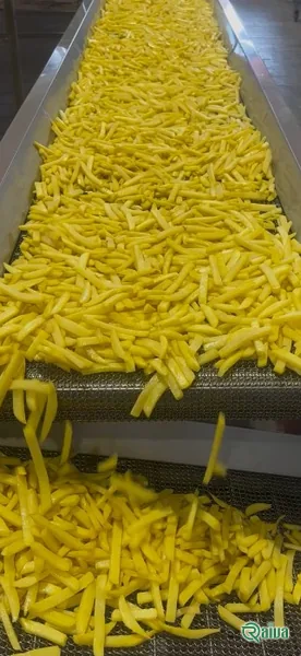 Par-fried frozen potato chips in a serving carton (view 8)