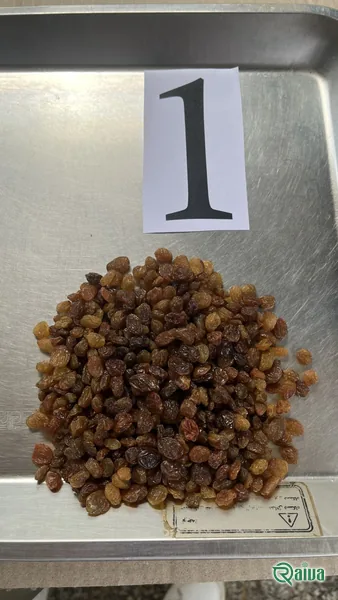 Raiva Food — Raisin processing and size grading (view 39)