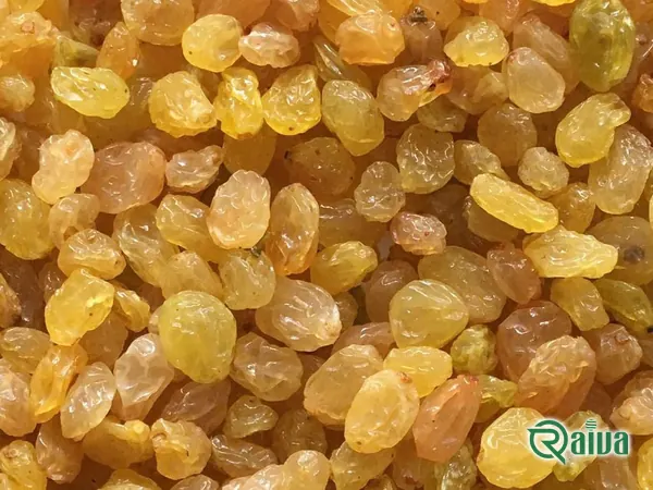 Golden Raisins — Raisin processing and size grading