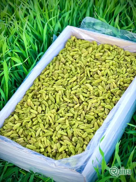 Light green seedless raisins in a wooden bowl (view 1)