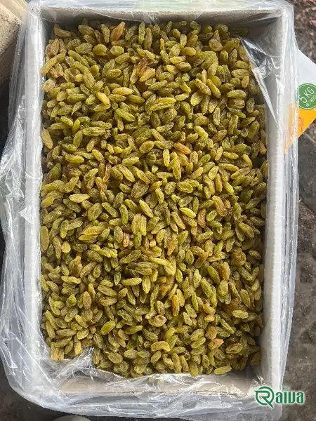 Light green seedless raisins in a wooden bowl (view 4)