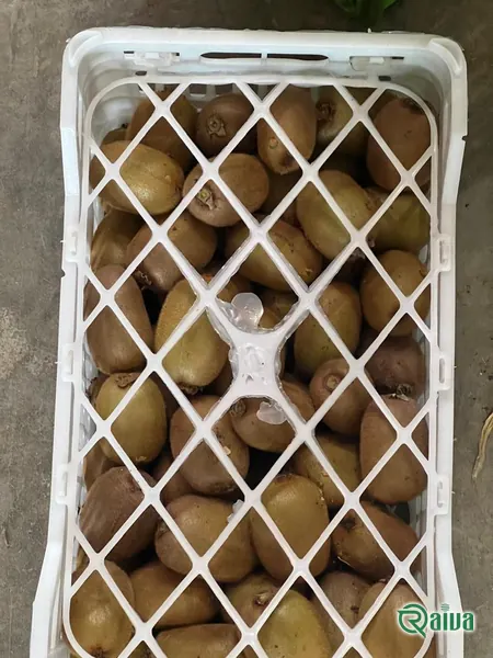Kiwi — Kiwifruit packing house and cold store