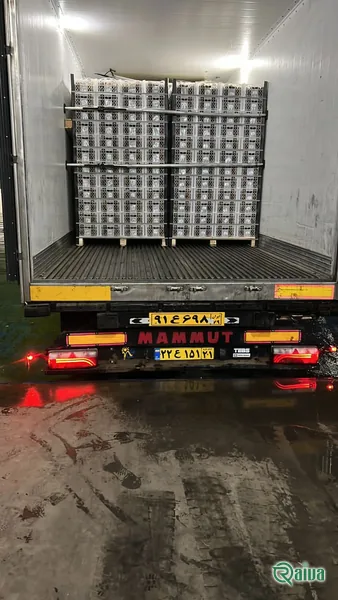 Kiwi — Kiwifruit packing house and cold store