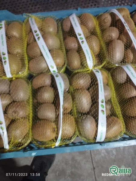 Kiwi — Kiwifruit packing house and cold store