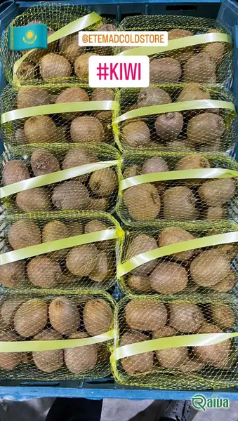 Kiwi — Kiwifruit packing house and cold store