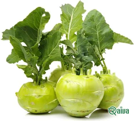 A kohlrabi bulb with its leaves, cut to show the pale crisp stem