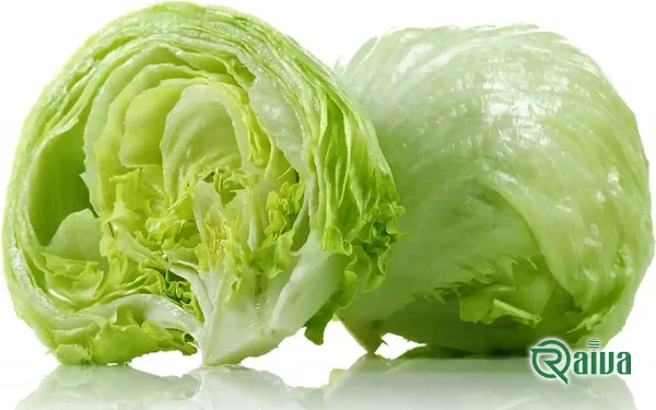 A dense head of iceberg lettuce (view 2)