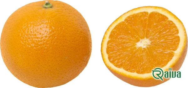 Oranges graded and packed into export crates (view 11)