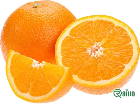 Oranges graded and packed into export crates (view 12)