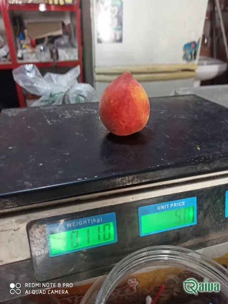 Peach & Nectarine — Peach tray packing and sizing