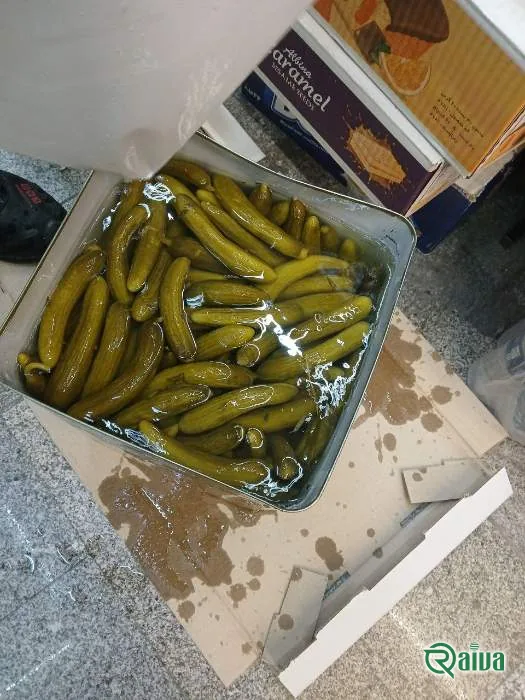 Whole pickled gherkins preserved in brine