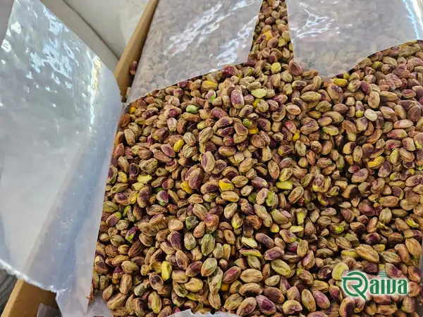 Pistachio — Pistachio grading and bulk packing