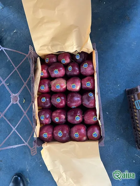 Plum — Plum single-layer packing