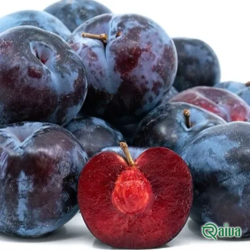 Dark purple plums packed in crates (view 17)