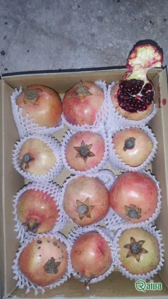 Two whole red pomegranates beside a broken piece full of dark red arils (view 17)