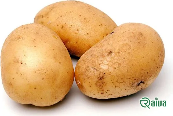 Fresh ware potatoes graded by size (view 18)