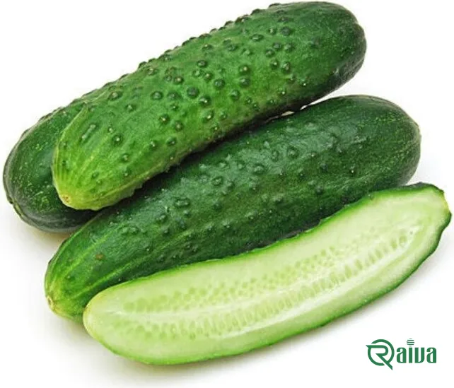 Short, bumpy-skinned spiny cucumbers beside one cut lengthwise