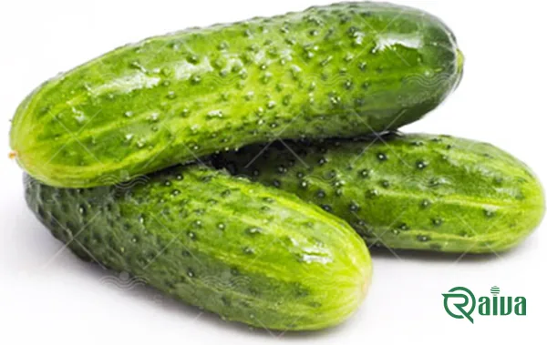 Short, bumpy-skinned spiny cucumbers beside one cut lengthwise (view 3)