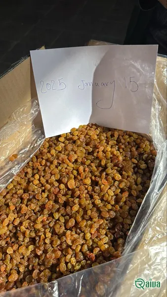 Sultana Raisins — Raisin cleaning and grading