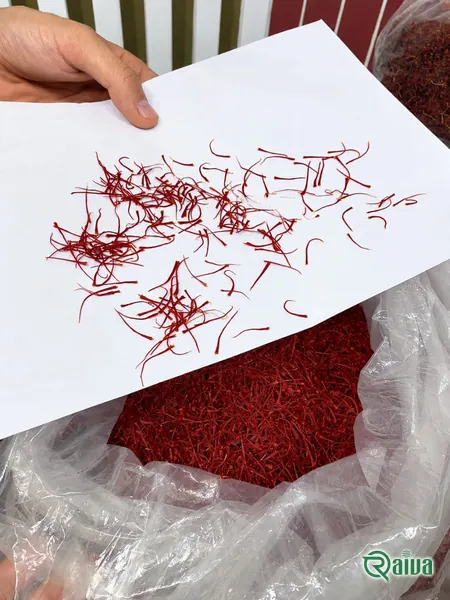 Long, deep red Super Negin saffron threads heaped loose (view 3)