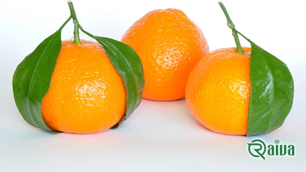 Tangerines packed loose in a crate (view 10)