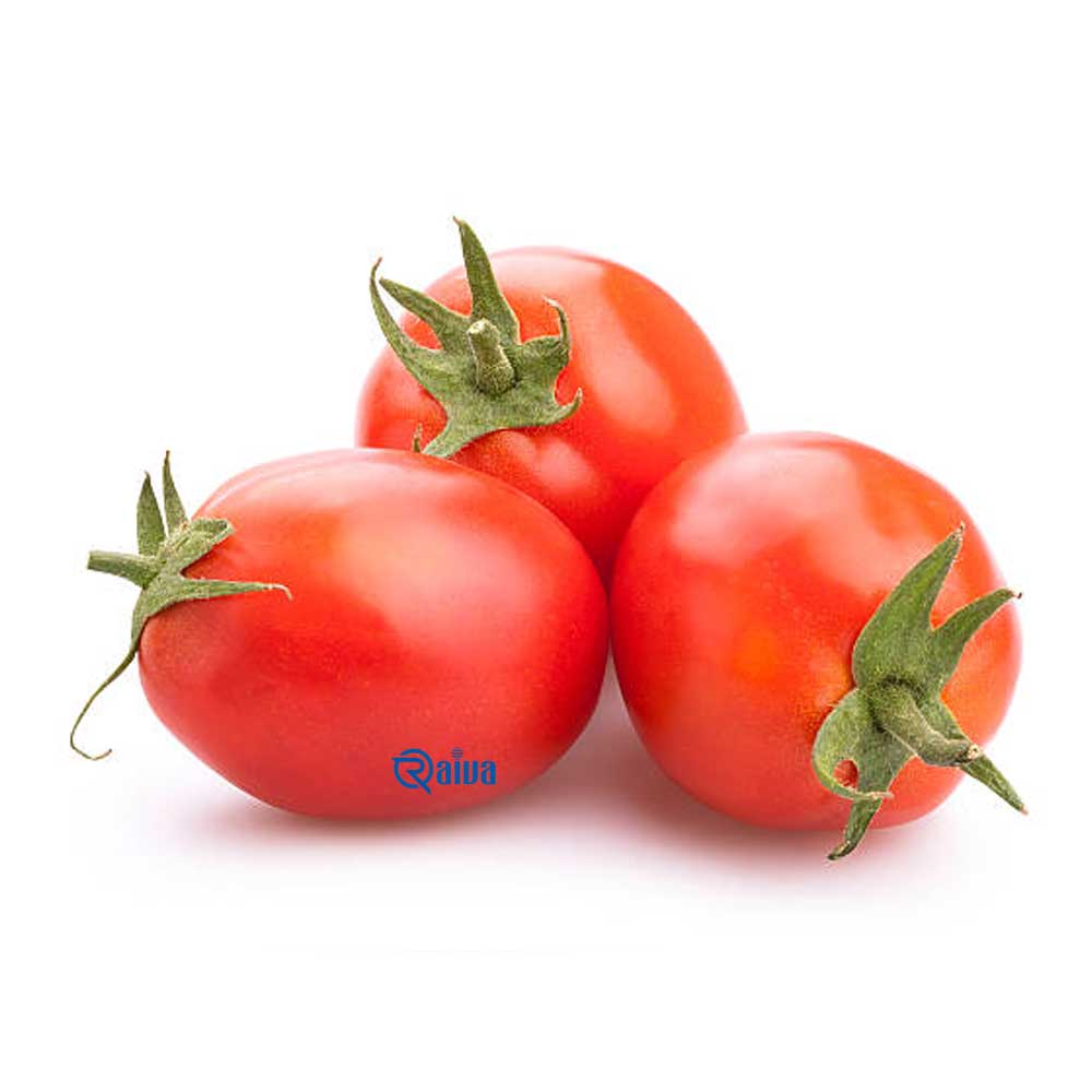 Tomato — Raiva Food