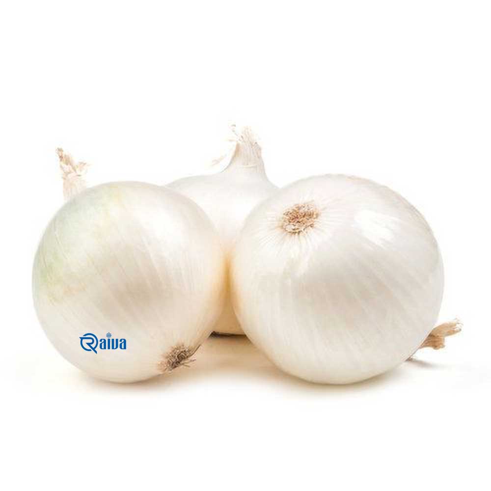 White Onion — Raiva Food
