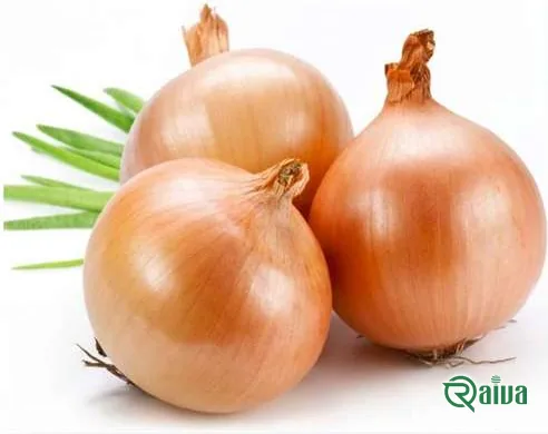 Golden-brown yellow storage onions (view 15)