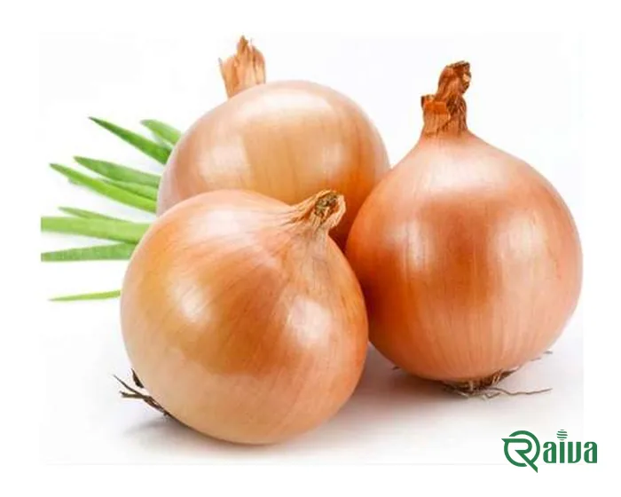 Golden-brown yellow storage onions