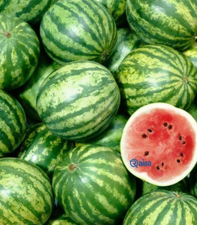 water-melon2-raivafood