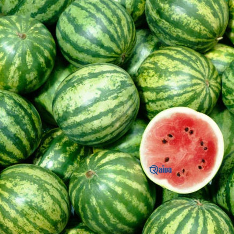 water-melon2-raivafood